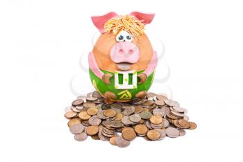 Royalty Free Photo of a Piggy Bank and Money
