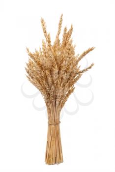 Royalty Free Photo of Wheat Ears