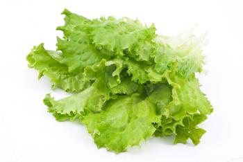 Fresh green lettuce salad 