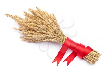 Ears of wheat tied with red ribbon 