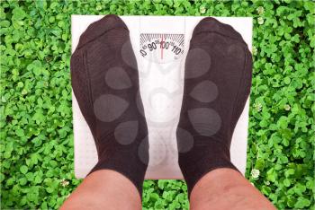 Weighing scales on green grass