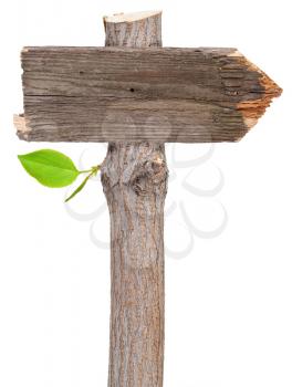 Royalty Free Photo of a Wooden Arrow Sign and a Stick With a Leaf Attached