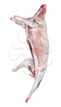 Royalty Free Photo of an Animal Carcass on a White Background