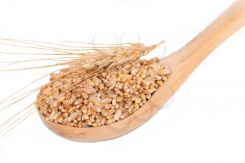 Wheat in a wooden  spoon
