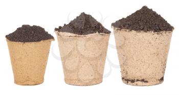 Peat pots with soil