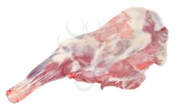 Raw lamb leg