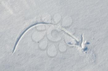 Arrow drawn on a snow
