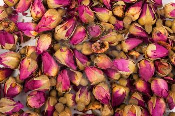 Dried rosebuds background texture