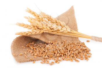 Bunch of wheat and ears on sacking