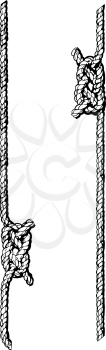 Royalty Free Clipart Image of a Knotted Rope Border