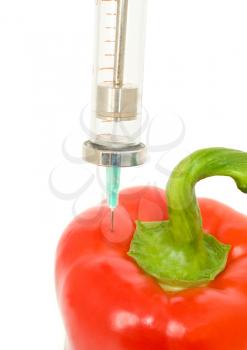 Genetically modified object - pepper and sticked aged syringe on white