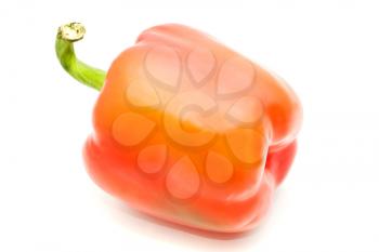 Closeup of sweet pepper on white