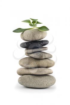 Green Life - balanced pebble tower with green plant on the top over white