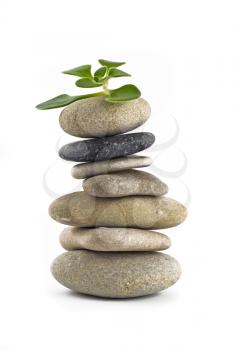 Green Life - balanced stone tower with plant on the top over white