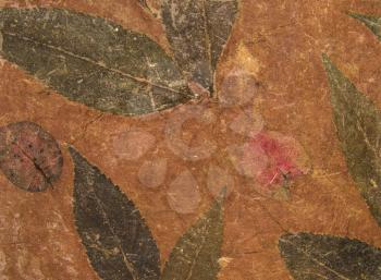 Aged handmade brown paper texture with leaves herbarium. Natural background