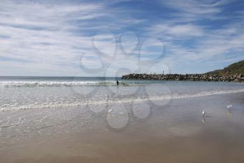 Royalty Free Photo of Seagulls and a Person at the Beach