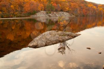 Royalty Free Photo of an Autumn Forest Reflected in Water