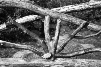 Wooden Bench made from dry tree branches in black and white.