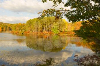 Fall landscape with the forest lake at sunset.