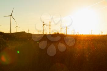 Electric windmills at sunset.