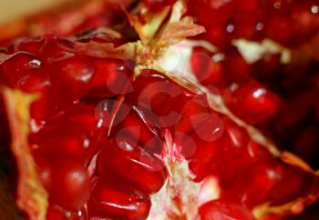 close-up of pomegranate fruit