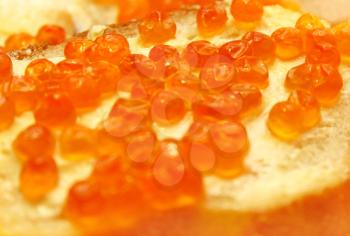 close up of red caviar sandwich