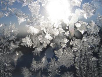 frost and sun on winter window