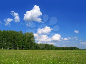 summer landscape of green field,trees and sky with clouds