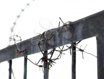 Barbed wire on metallic fence
