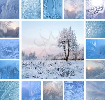 Collage of ice patterns on glass and winter landscape with tree