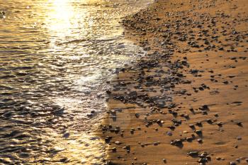 Seashore with pebbles on a sandy beach in the rays of sunlight, nature close-up background