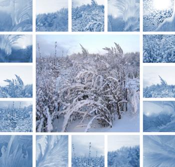 Collage of ice pattern on winter glass and plants under the snow