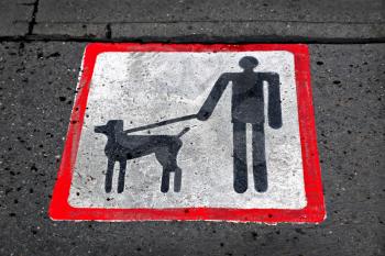 Dog walking sign on road