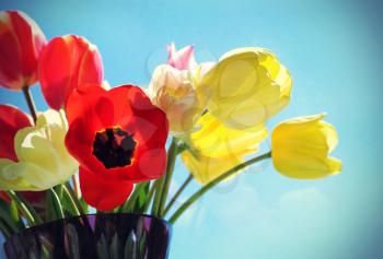 Bouquet of colorful bright tulips in a glass vase