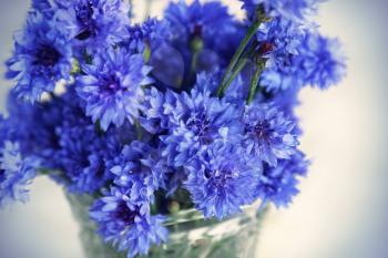 Bouquet of blue cornflowers in vase