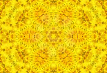 Bright yellow background with abstract concentric pattern