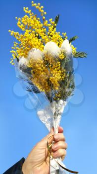 Bouquet of mimosa in hand against the blue spring sky