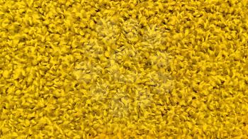 Closeup of bright yellow carpet texture