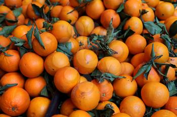 Ripe bright tangerines on the market