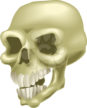 Royalty Free Clipart Image of a Human Skull