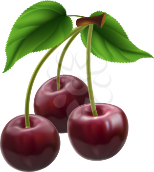 Royalty Free Clipart Image of a Bunch of Cherries