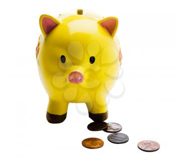 Coins with piggy bank isolated over white