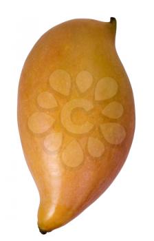 Close-up of a mango