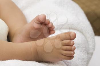 Close-up of a baby's feet
