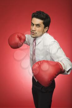 Portrait of a businessman wearing boxing glove