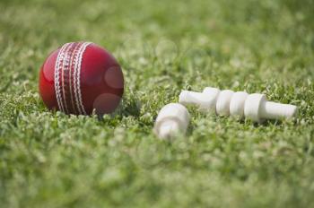 Close-up of a cricket ball with bails