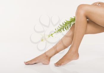 Woman's legs with a plant