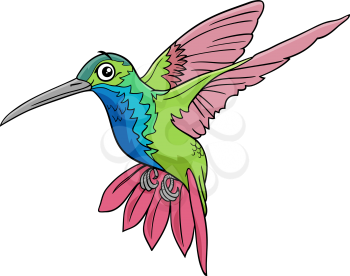 Cartoon illustration of funny hummingbird bird animal character