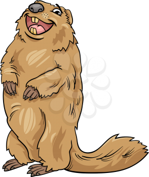 Cartoon Illustration of Funny marmot Animal