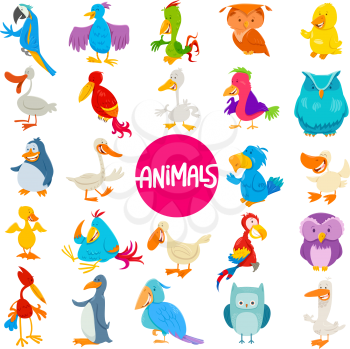 Cartoon Illustration of Birds Animal Characters Large Set